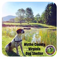Wythe County Dog Shelter